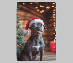 Christmas Staffy Fleece Blanket (100cm x 150cm)