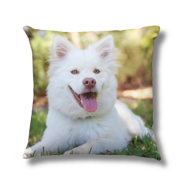 Personalised Pets Full Photo Upload Cushion - 45cm x 45cm