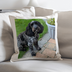 Personalised Pets Photo Upload Cushion